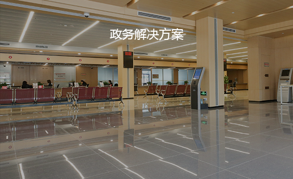 政務解決方案
